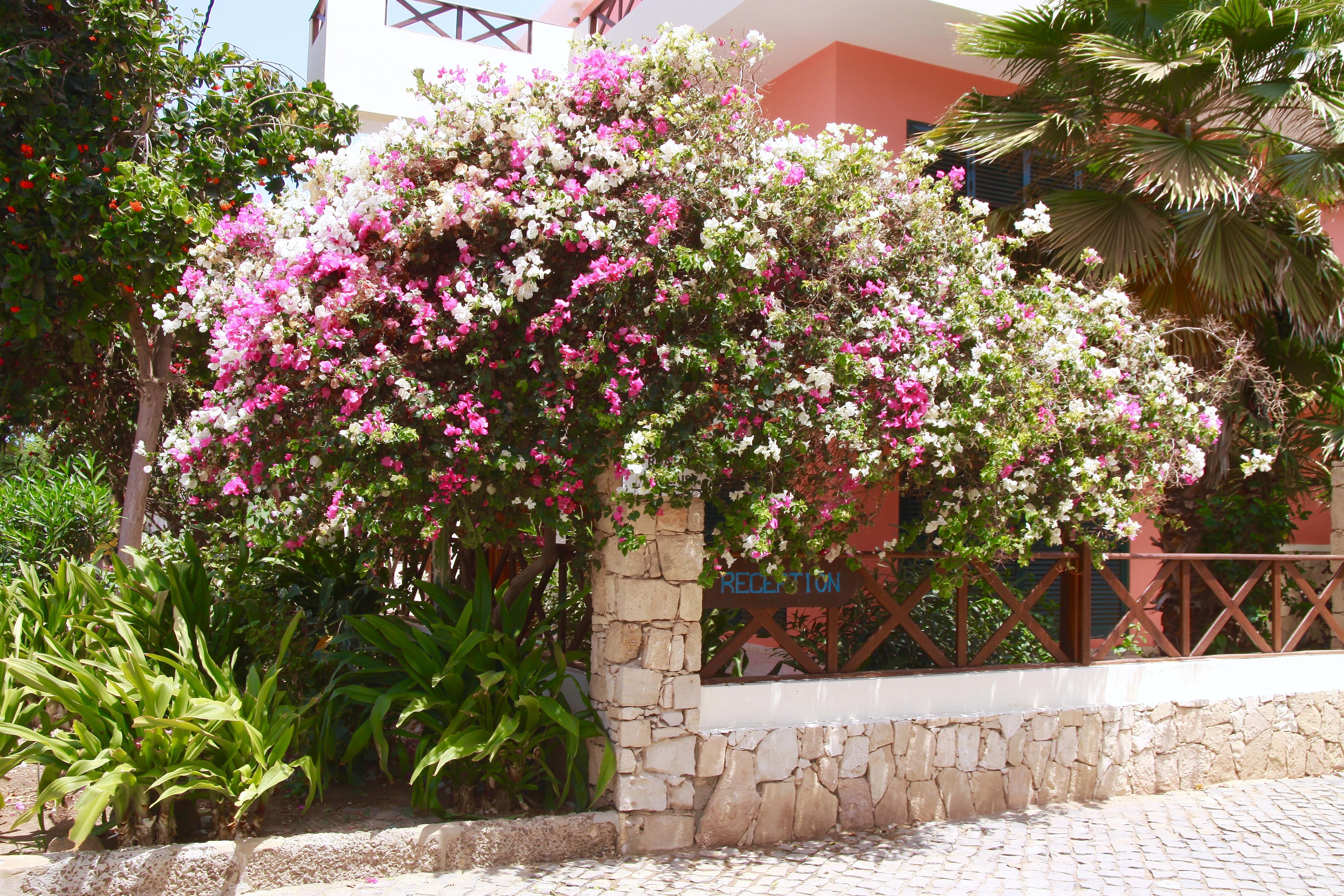 Aparthotel Ponta Preta Santa Maria Exteriör bild